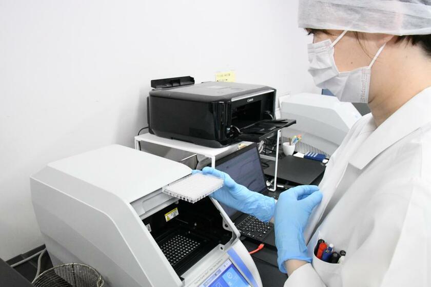 臨床検査技師らがＰＣＲ検査で採取された検体を検査機器にかけ陽性かどうか判定する