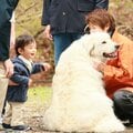 〈皇室の子育て〉ふわふわの白い大型犬にそっと手を伸ばす悠仁さま 生命への関心を育んだ赤坂御用地の「ナゾの生物」