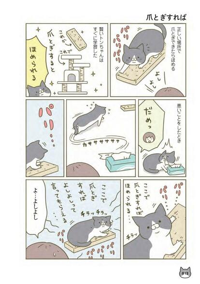 『うちの猫がまた変なことしてる。』(c)卵山玉子/KADOKAWA