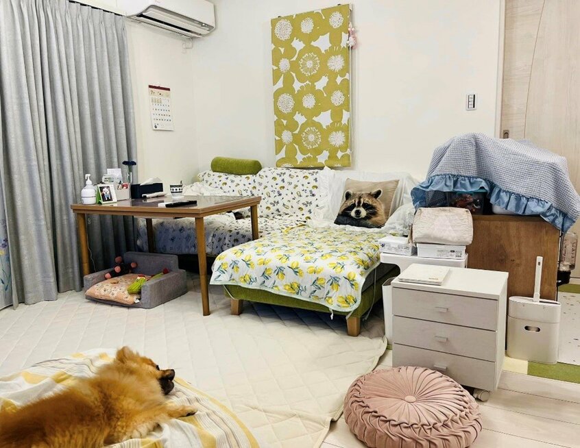 娘や犬がのんびり寝転がれるほどきれいになりました/アフター