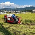 コメ騒動に「米が高いのは米不足だから」と現場の声 農水省が強弁「流通・JA悪玉論」のナンセンス
