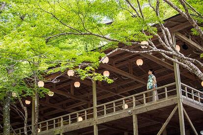 青もみじに包まれる料理旅館「高雄錦水亭」の川床から、眼下に流れる清滝川の清流を望む