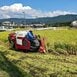 コメ騒動に現場の声「米が高いのは米不足だから」  なのに農水省だけが強弁「流通・JA悪玉論」のナンセンス