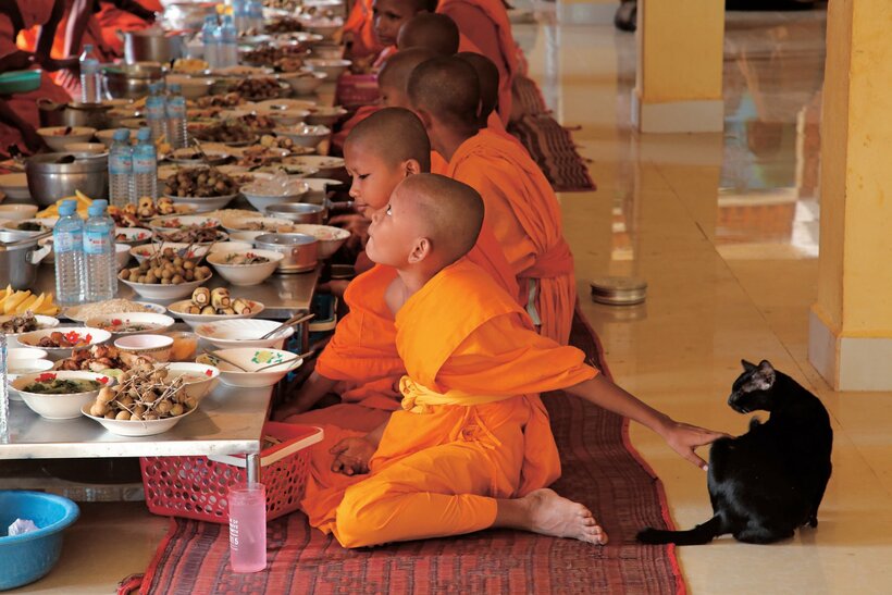 大きな寺は差し入れが多く、朝食のテーブルにはたくさんの料理が並ぶ。食事の間、こっそりネコと遊ぶ少年僧＝2005年、カンボジア（撮影／長倉洋海）