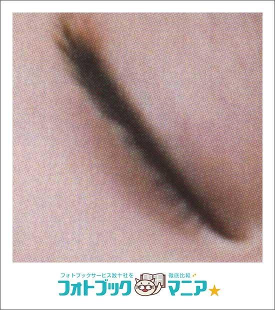 粉体トナー4色印刷。最も安価だが、よく見ると網点が大きいのがわかる（提供／フォトブックマニア）