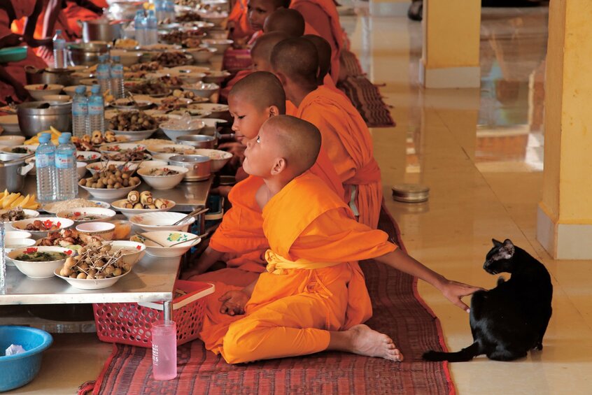 大きな寺は差し入れが多く、朝食のテーブルにはたくさんの料理が並ぶ。食事の間、こっそりネコと遊ぶ少年僧=2005年、カンボジア(撮影/長倉洋海)