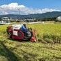 コメ騒動に現場の声「米が高いのは米不足だから」  なのに農水省だけが強弁「流通・JA悪玉論」のナンセンス
