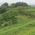 お盆には仏壇参り、葬儀には僧侶…日本中に「仏式」を広めた江戸時代の制度とは?