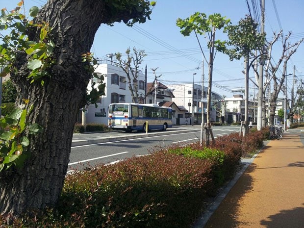 主婦が幸せに暮らせる街ランキングの３位に選ばれた兵庫県西宮市