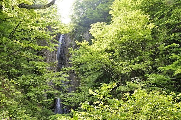 「幻の大滝」の別名をもつ「早戸大滝」（神奈川県相模原市緑区鳥屋）