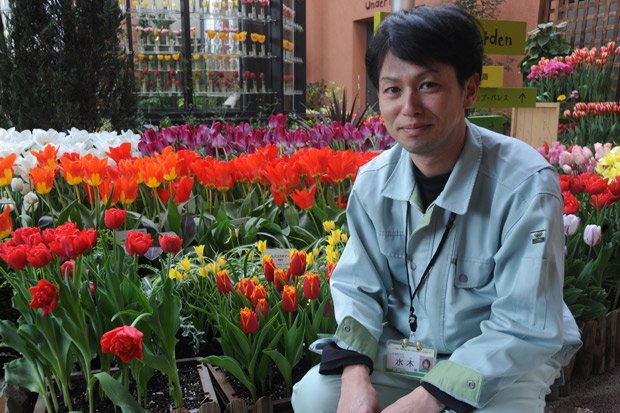 大花壇の開花をコントロールする、公益財団法人「砺波市花と緑と文化の財団」の水木努さん