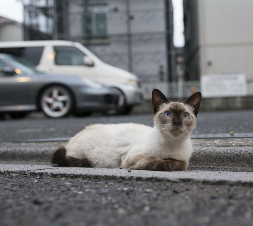 だから、安心して