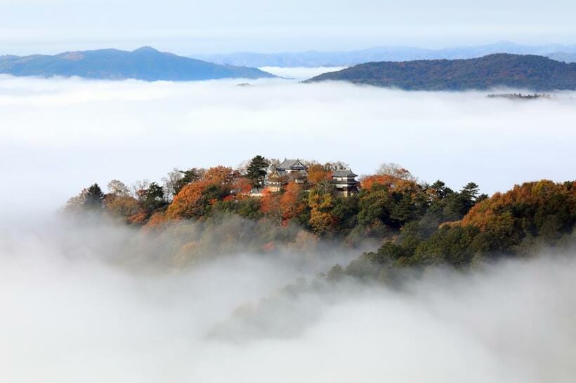 備中松山城（岡山県高梁市）　週刊朝日ＭＯＯＫ「歴史道」Ｖｏｌ．１７　完全保存版