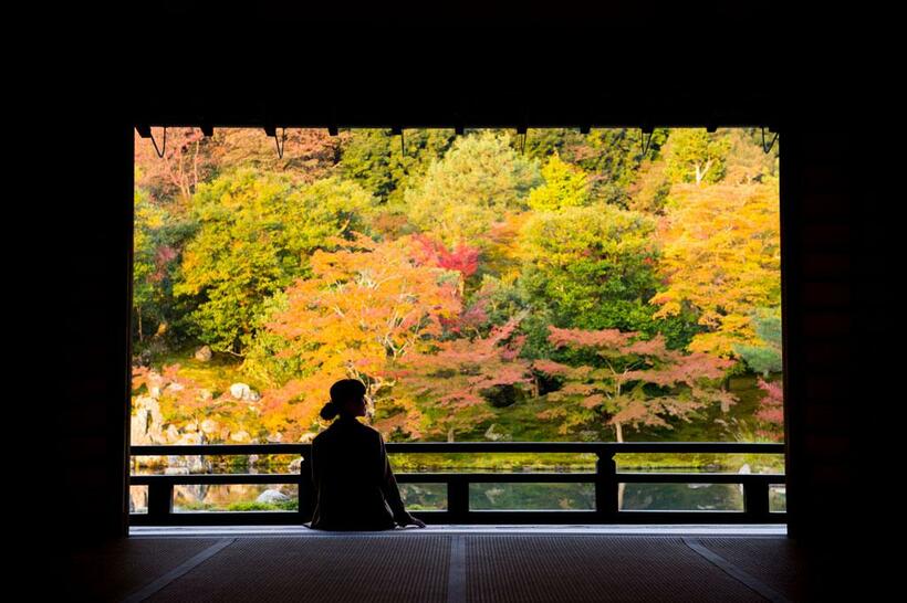 天龍寺の庭園は座して見る庭の最高峰と称される（写真：「健康さんぽ　京都」）