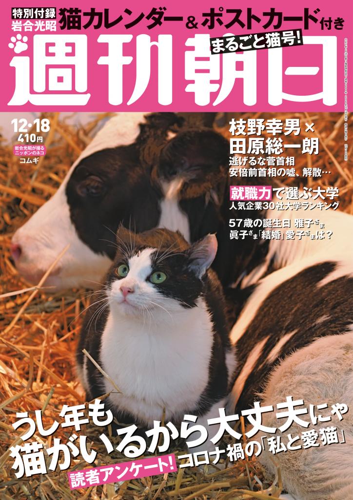 週刊朝日１２月１８日号　一冊まるごと猫号！※アマゾンで予約受付中