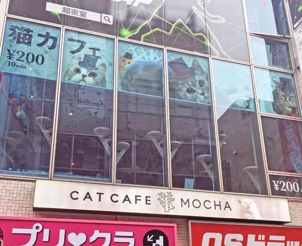 臨時休業中の『猫カフェ　ＭＯＣＨＡ』原宿竹下通り店（撮影／田中将介）