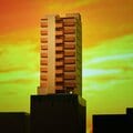 〈見逃し配信〉「まるで罰ゲーム…」 マンション管理組合の役員になった50代女性 痛感する高齢者との世代間ギャップ 「Zoomは信用ならない」「管理費は通帳管理」