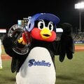 「つば九郎グッズ」想像以上の“需要増”は続く? “転売ビジネス化”を懸念する声も
