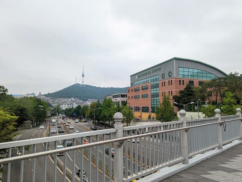 ドラマでおなじみの歩道橋「緑莎坪陸橋」。遠くにNソウルタワーが見え、フォトスポットとしても知られる