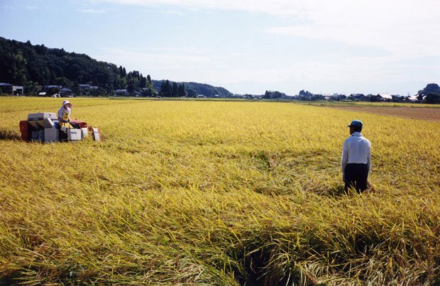 シリーズ「氷見」より　2000～2013 タイプCプリント