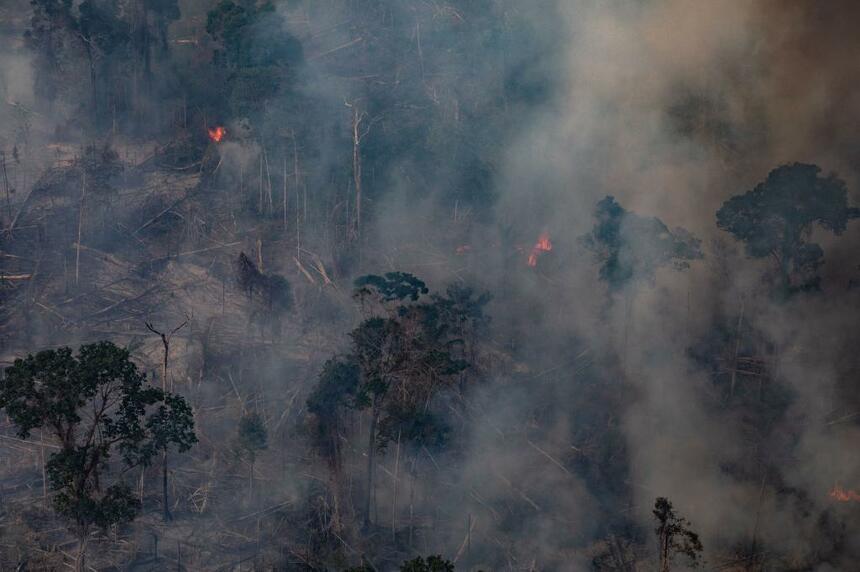 火災が発生しているアマゾンの森林（写真／gettyimages）