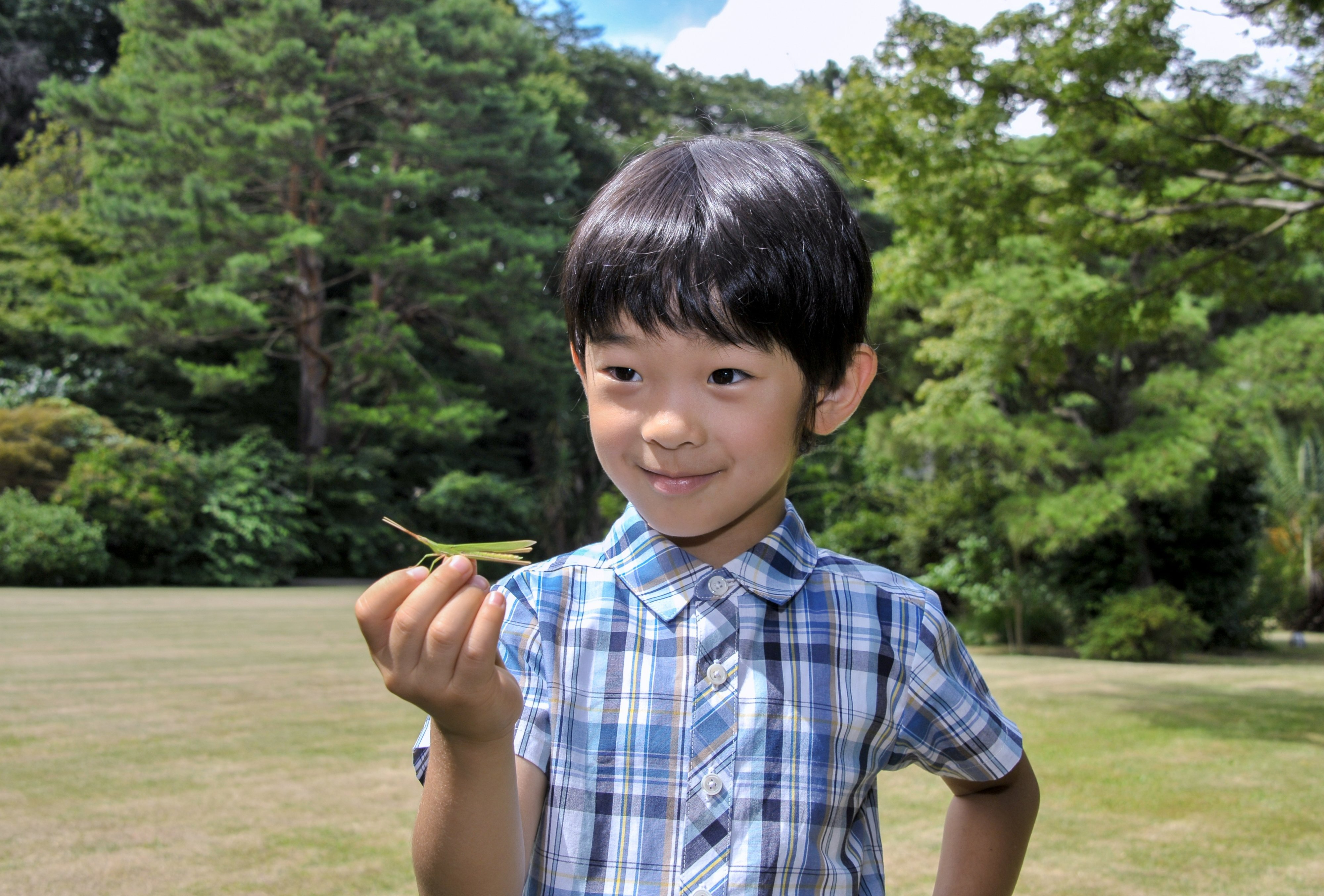 1歳からトンボに夢中の悠仁さまが可愛い！ 大きな捕り網をブンブンふり回す、小さな「生物学者」（AERA dot.）｜ｄメニューニュース（NTTドコモ）