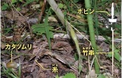 森井さんが森の中でカタツムリの活動を調べるために用いた装置。カタツムリが移動すると、ボビンから糸が繰り出される