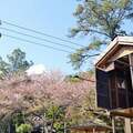 兵庫県福崎町のまちおこしが破天荒すぎて話題