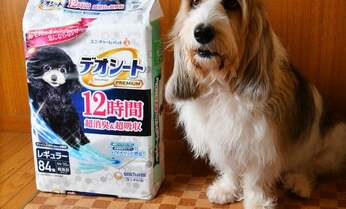 「松阪牛」などブランド肉活用したおやつも 注目集めるペット用品のプレミアム化