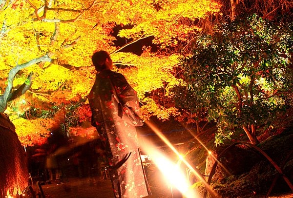 夜の紅葉狩り♪