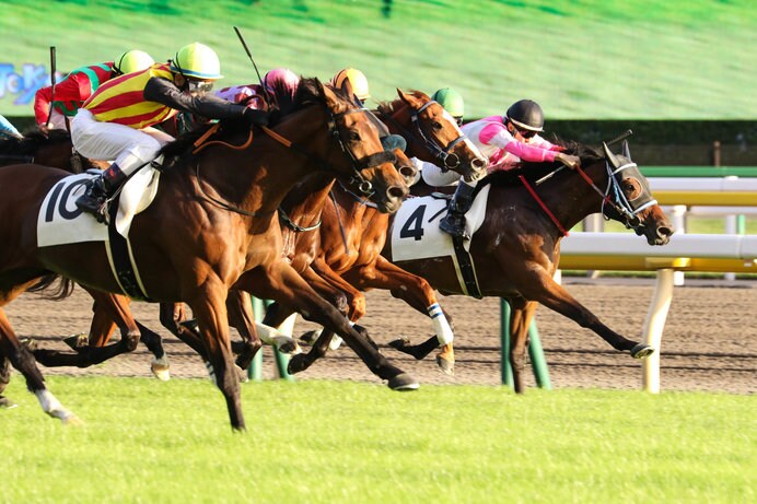 馬と騎手が一体となって疾走する大迫力のゴール前