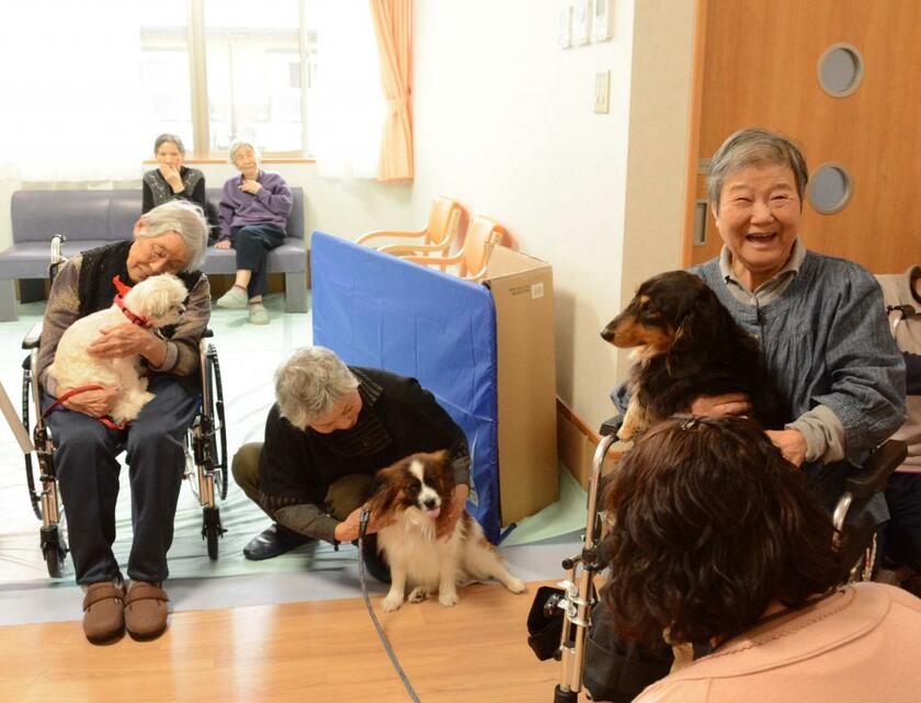 自宅から高齢者施設に移っても、元気に楽しく過ごすことが多くの人の願い（写真は本文と直接関係ありません）　（ｃ）朝日新聞社