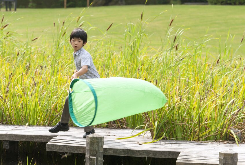 もうすぐ9歳になる悠仁さま。大きな虫捕り網を手に元気に走り回り、昆虫を捕まえる=2015年8月、赤坂御用地、宮内庁提供