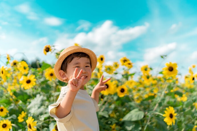 ※写真はイメージです