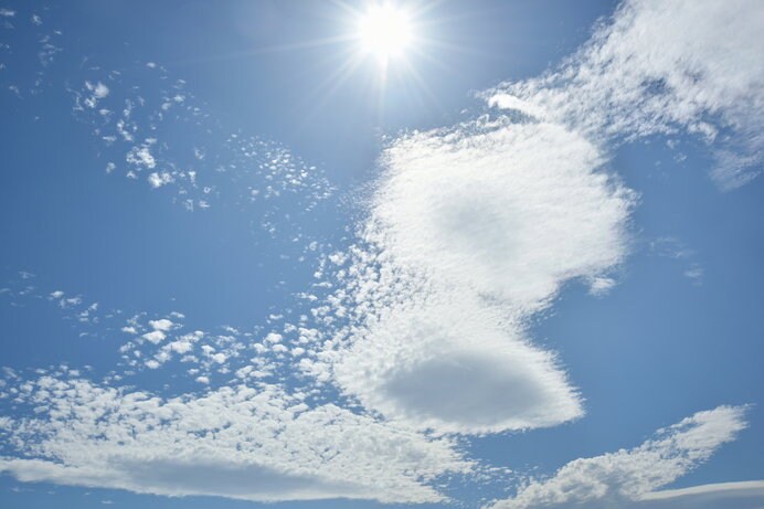 初夏の青空と日差し