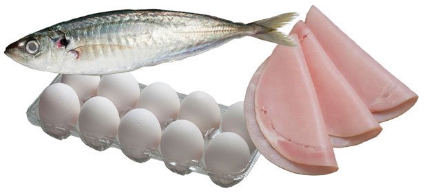 卵は記憶力、豚肉は集中力を高め、青魚は脳の働きを活性化させる（撮影／写真部・植田真紗美）