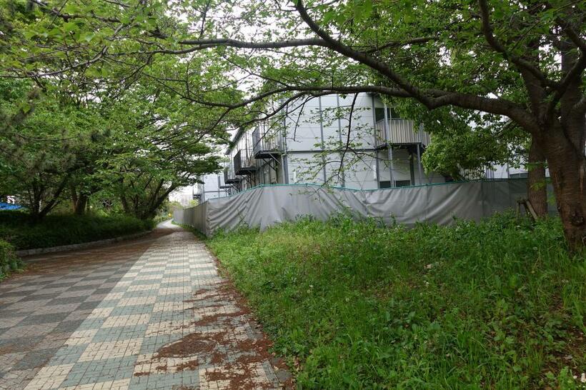 東京都江戸川区臨海町にある警察宿舎へ再改修中のコロナ療養施設は緑に覆われていた（撮影・上田耕司）
<br />