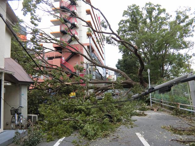 台風21号で木や車まで倒れた大阪市内（撮影／今西憲之）