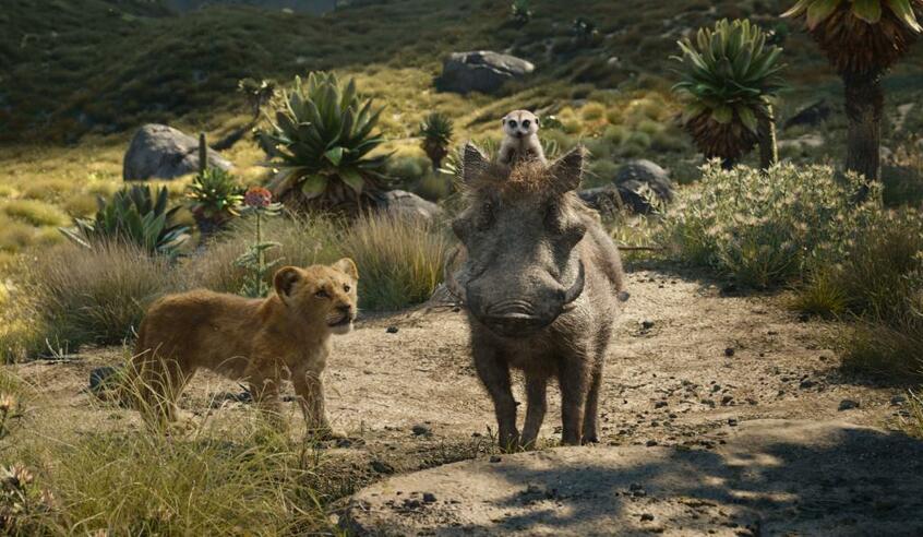 子ライオンのシンバが異様に愛くるしい! 「ライオン・キング」超実写版は全国公開中だ (c)2019 Disney Enterprises, Inc. All Rights Reserved.
