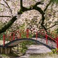 天赦日に一粒万倍日に大安…2025年「最強開運日」を「暦注」の専門家に聞いてみた!