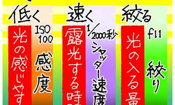 もう迷わない!「露出」の決定方法