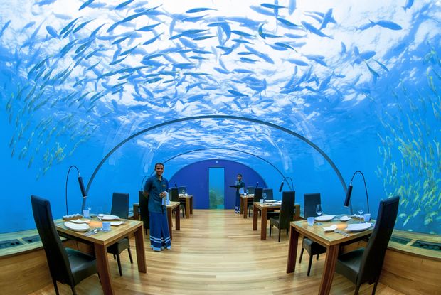 ガラス張りの海中レストランは、コンラッド・モルディブ・ランガリ・アイランドに2005年オープン。（モルディブ／アリ環礁）