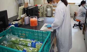 放射能は300年消えず。食品汚染の今 原発事故から4年、あの問題は…
