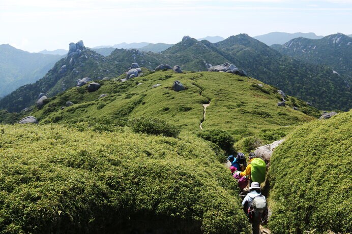 屋久島の自然を感じられる宮之浦岳