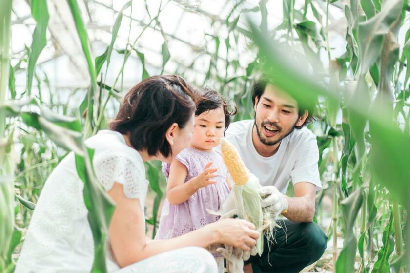この夏を北海道厚沢部町で過ごした山本雅也さん一家。夫婦はワーケーション、娘は保育園留学をし、週末には農産物の収穫体験も楽しんだ（撮影／Ｋｅｉｔａ　Ｓｈｉｇａｙａ）