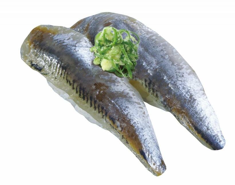 青魚の代表格、いわしのお寿司