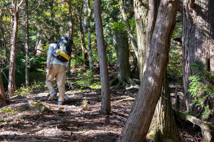 ルートが豊富だから何度も登りたくなる山