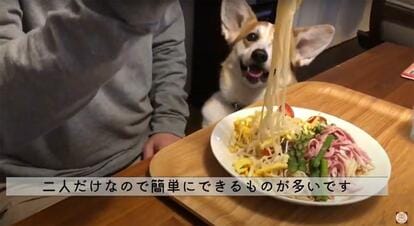 冷やし中華を作った一日を紹介した「すみちゃんねる」の動画