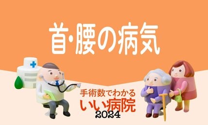 【首・腰の手術数】病院ランキング2024年版・全国トップ40　 1位は品川志匠会病院、2位は稲波脊椎・関節病院