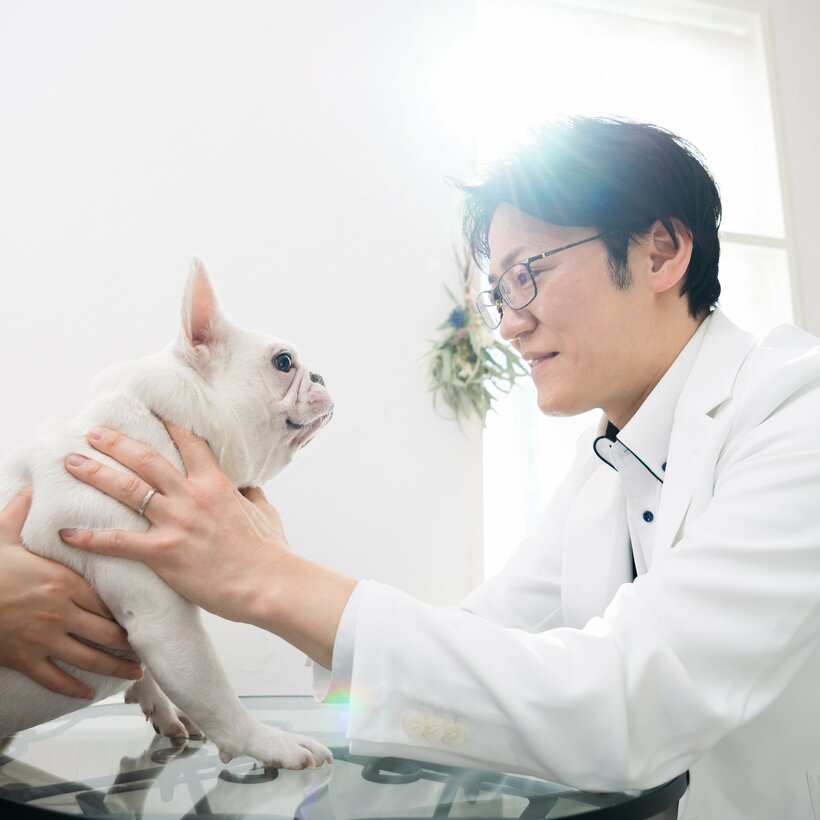 【四季の森どうぶつクリニック】 メディカルスキンケアセンター・犬の皮膚科専門獣医師：平川将人（ひらかわ・まさと）／1978年生まれ。宮崎大学獣医学科卒業。2009年に四季の森どうぶつクリニック開院。14年に犬の皮膚科専門動物病院としてリニューアルオープン。20年に東京サテライトクリニック開設、犬の行動診療科を開設（撮影／写真映像部・和仁貢介）